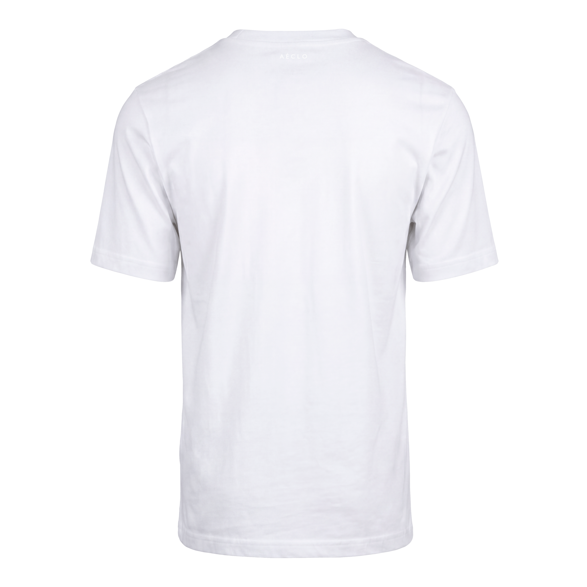 Slim Fit Embroidered T-Shirt - White